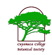 Logo for Cuyamaca Botanical Society