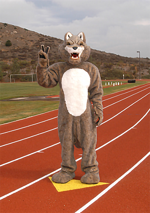 Cuyamaca Coyote