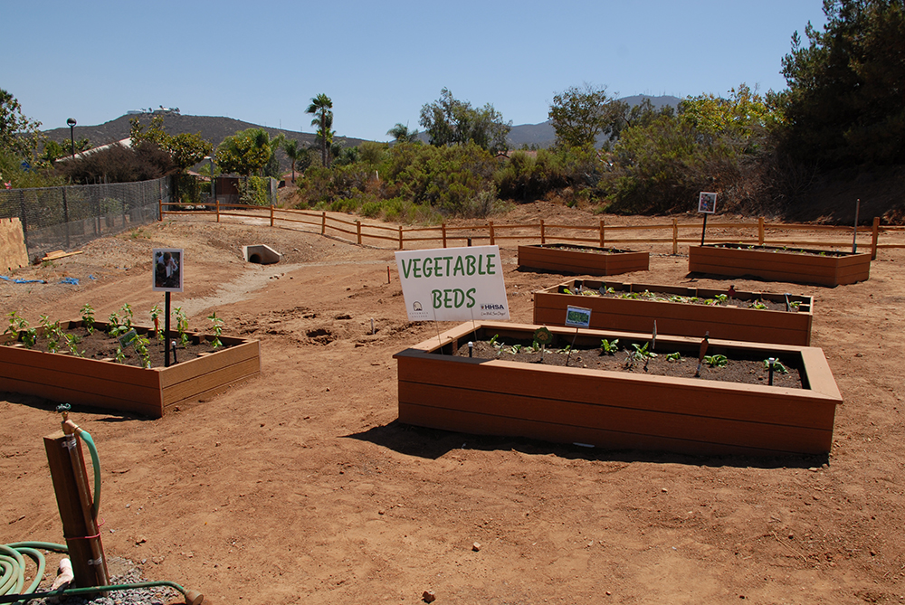 Intergenerational Garden