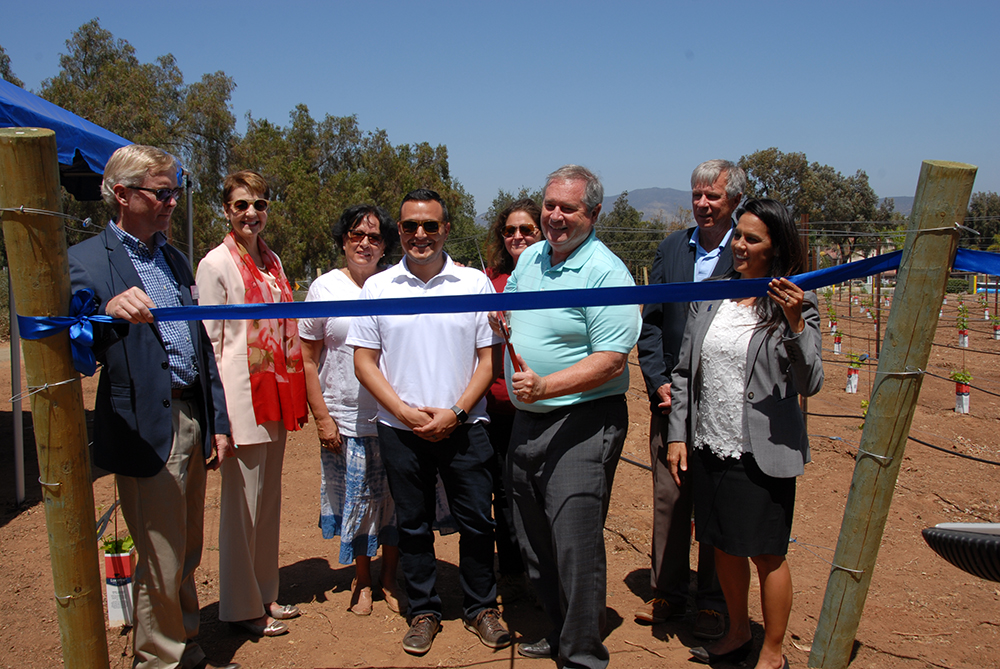 Vineyard Ribbon Cutting