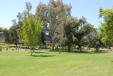 Grand Lawn and Students