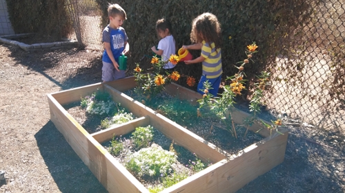 Raised Bed